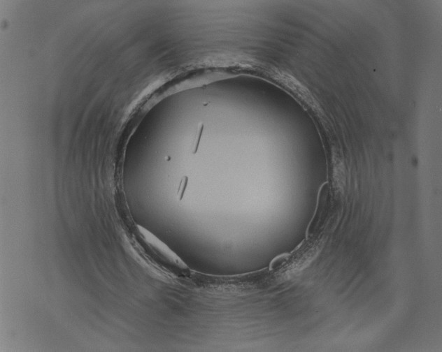 X0000070340530200606231534