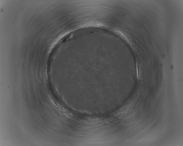 X0000070340531200606231534