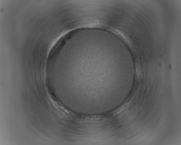 X0000070340532200606231534