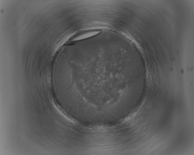 X0000070340533200606231534