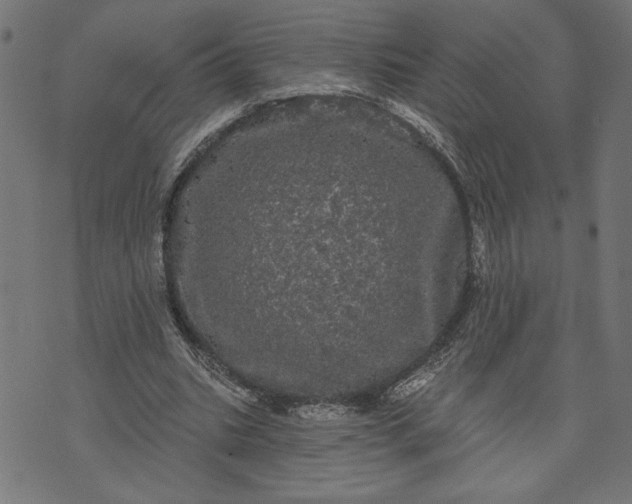 X0000070340535200606231535