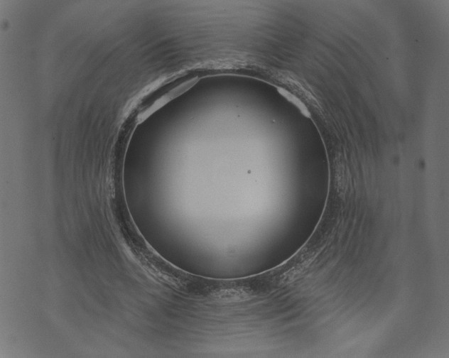 X0000070340536200606231535