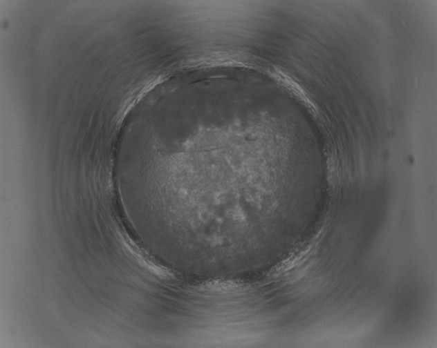 X0000070340537200606231535