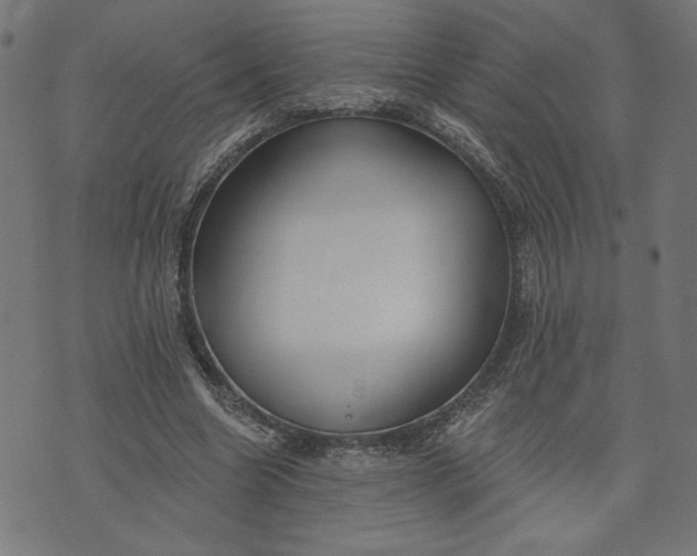 X0000070340538200606231535