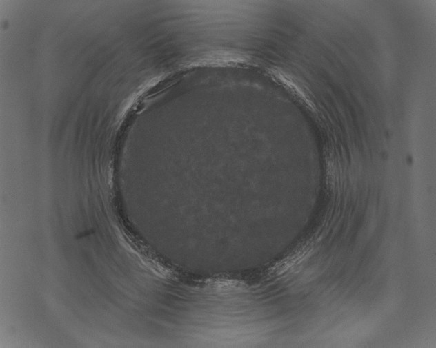 X0000070340539200606231535