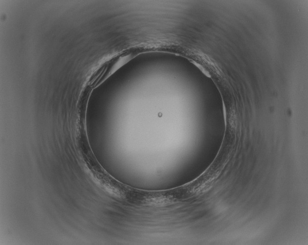 X0000070340540200606231535