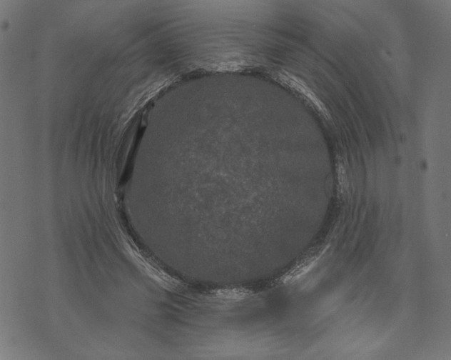 X0000070340541200606231535