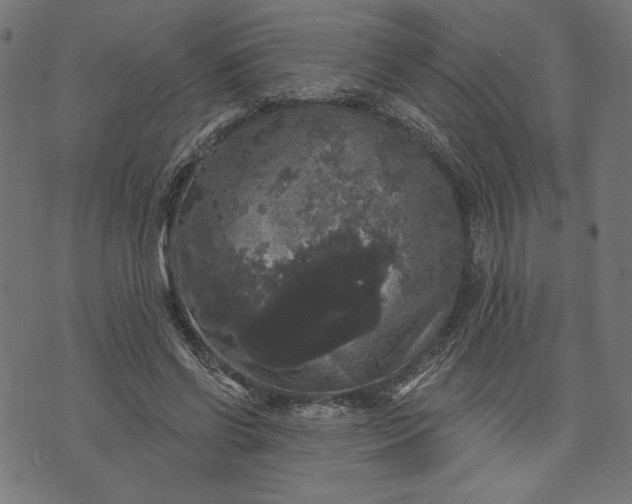 X0000070340542200606231535