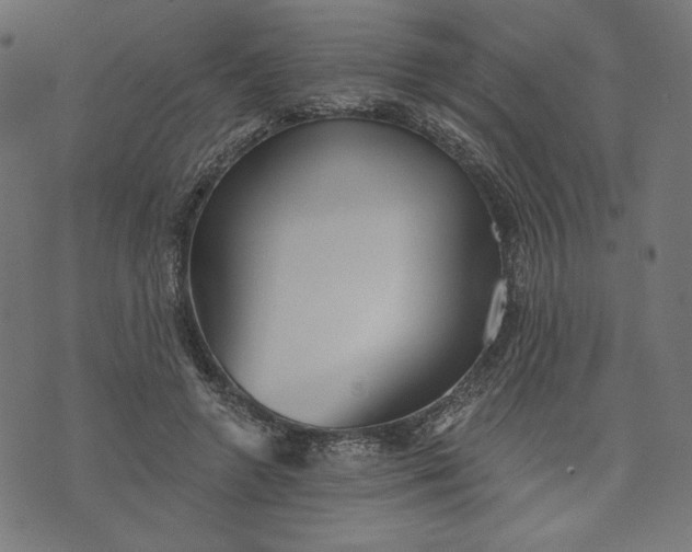 X0000070340546200606231535