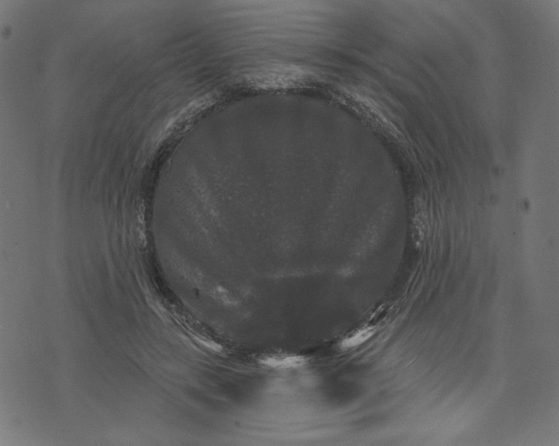 X0000070340547200606231535