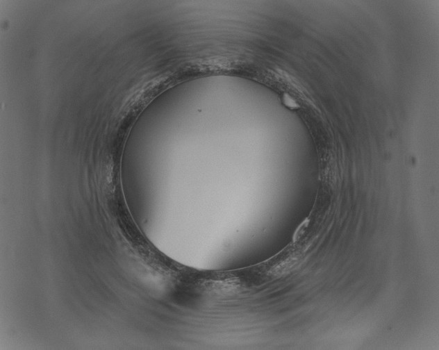 X0000070340548200606231535