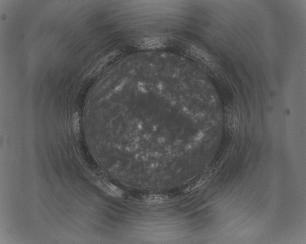 X0000070340549200606231535