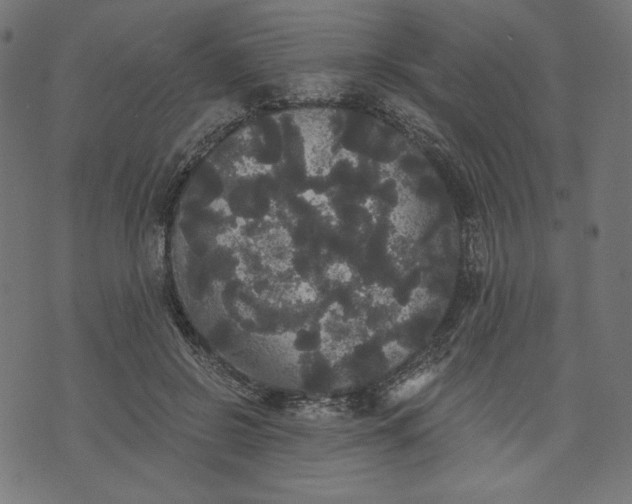 X0000070340550200606231535