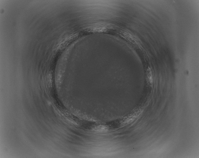 X0000070340551200606231535