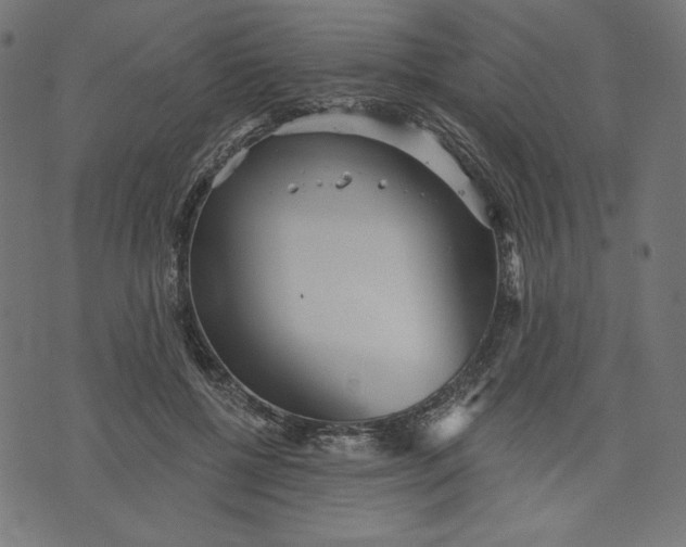 X0000070340552200606231535