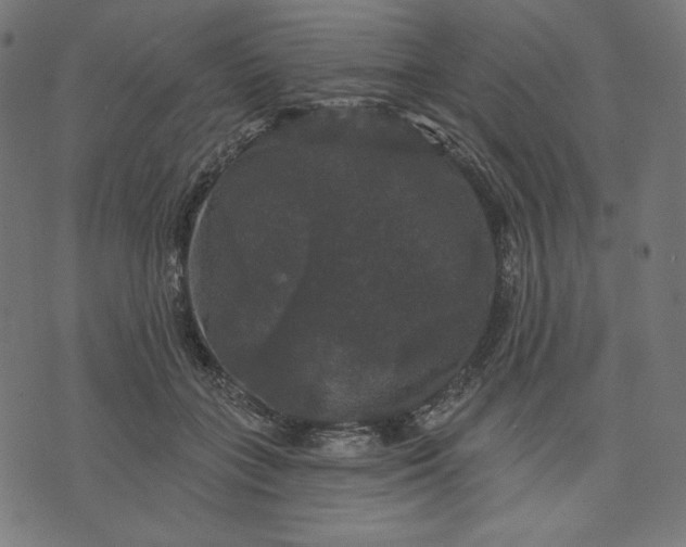 X0000070340555200606231535