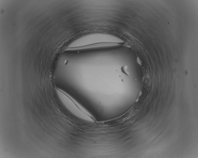 X0000070340556200606231535