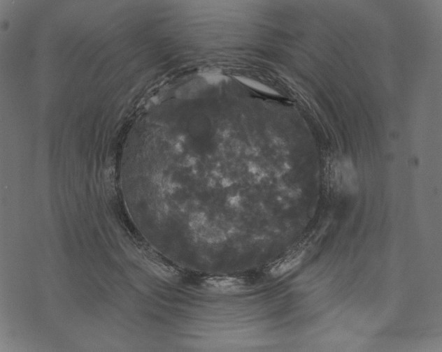 X0000070340557200606231535