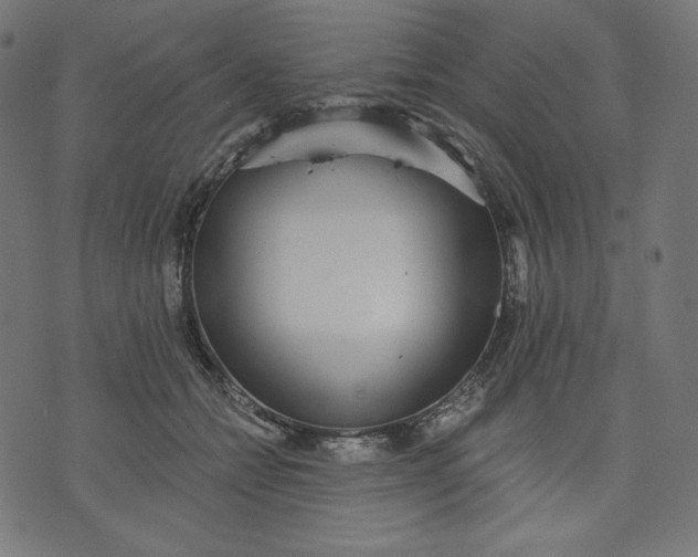 X0000070340558200606231535