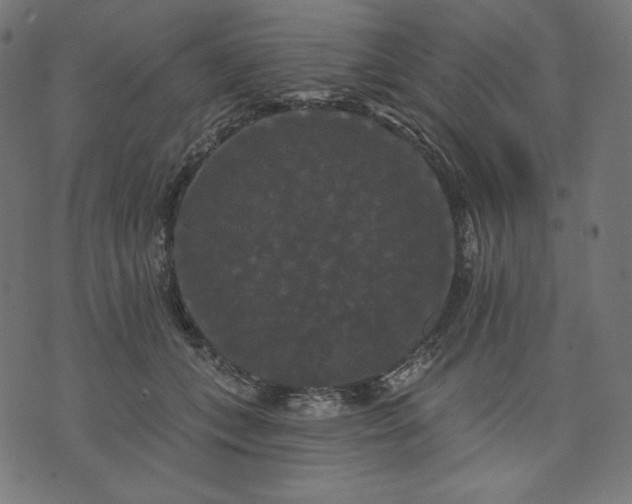 X0000070340559200606231535