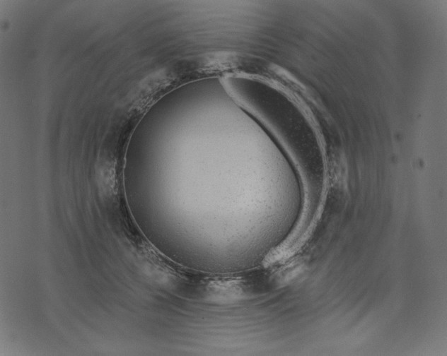 X0000070340560200606231535