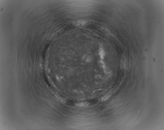 X0000070340561200606231535