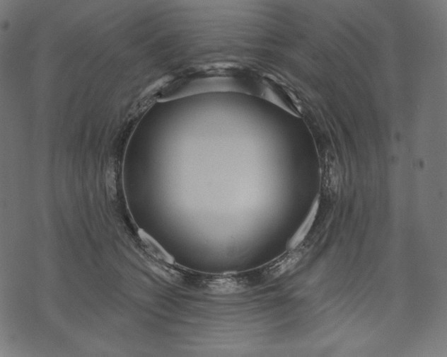 X0000070340562200606231535