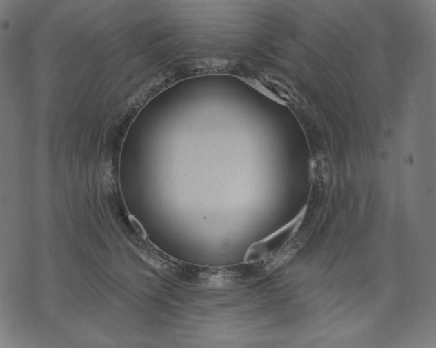 X0000070340564200606231535