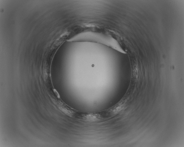 X0000070340566200606231535