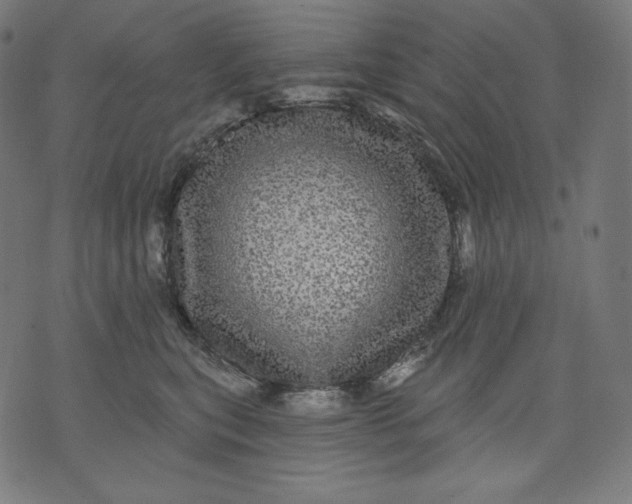 X0000070340567200606231535