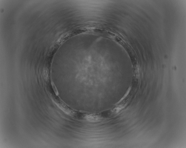 X0000070340568200606231535