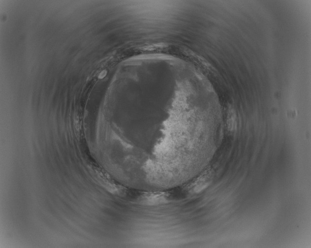 X0000070340569200606231535