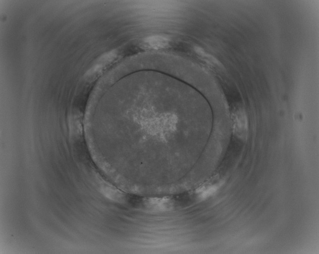 X0000070340570200606231535