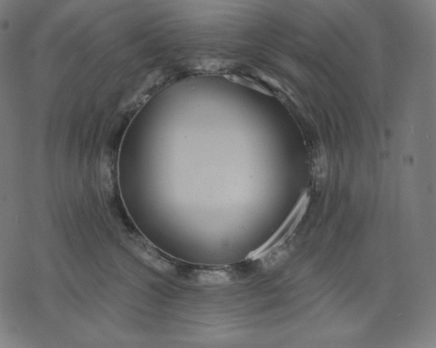 X0000070340572200606231535