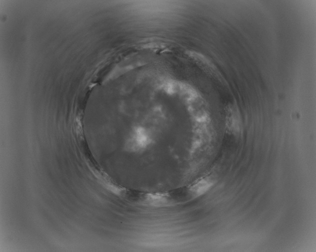 X0000070340573200606231535