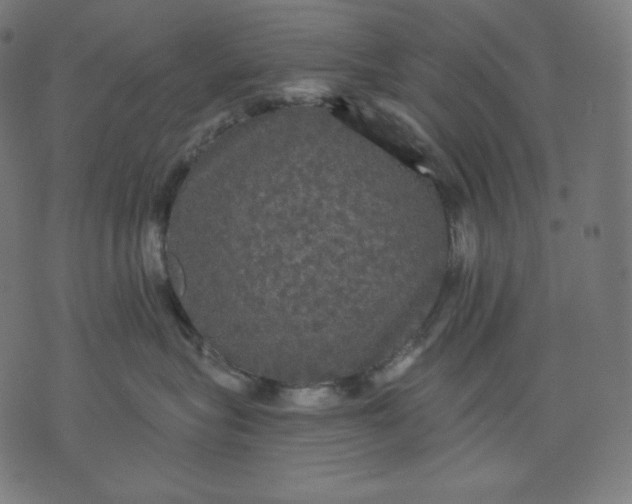 X0000070340575200606231535