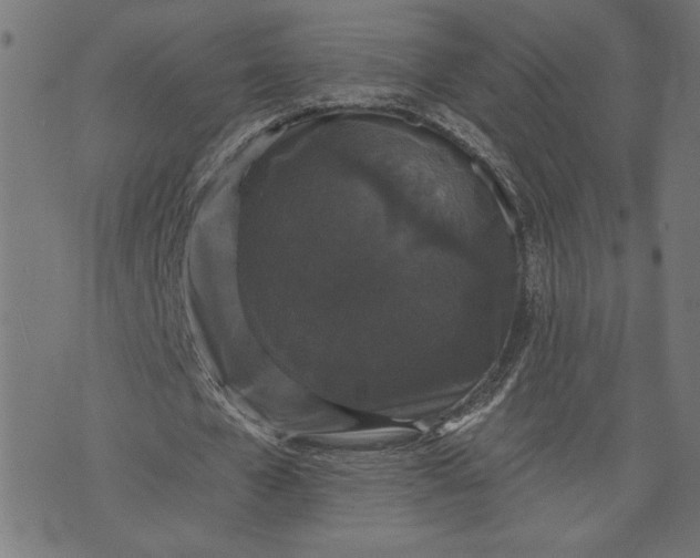 X0000070340577200606231534