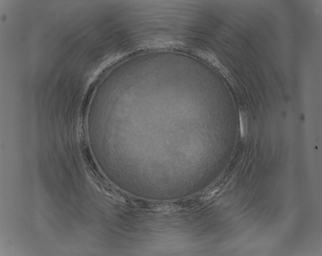 X0000070340579200606231534