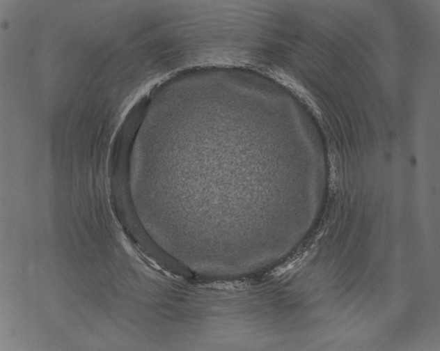 X0000070340580200606231534