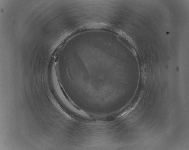 X0000070340581200606231534