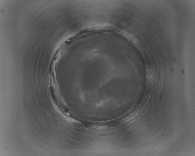 X0000070340582200606231534