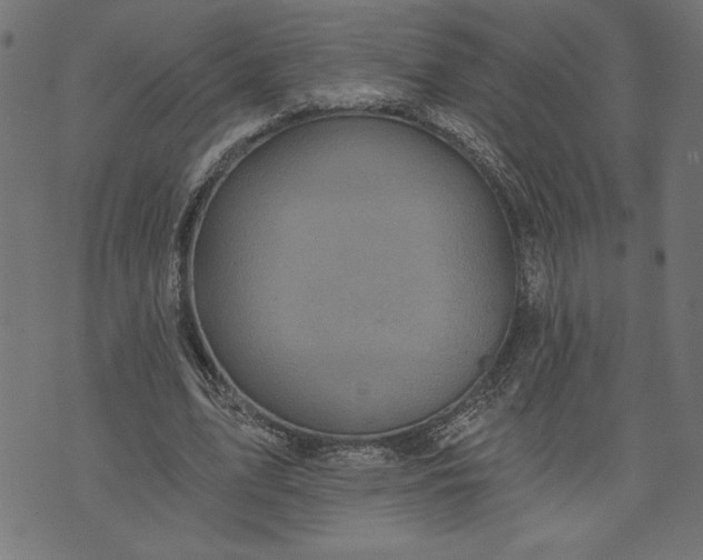 X0000070340583200606231534