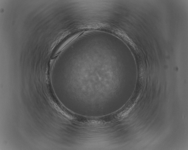 X0000070340585200606231534