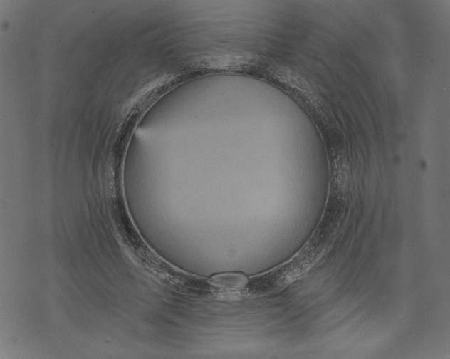 X0000070340587200606231534