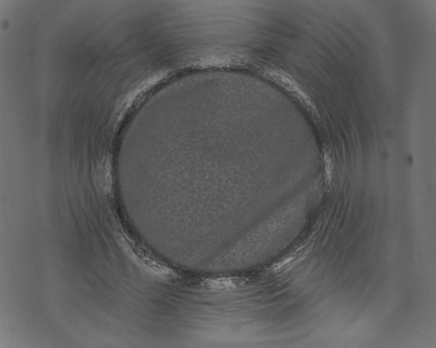 X0000070340588200606231534