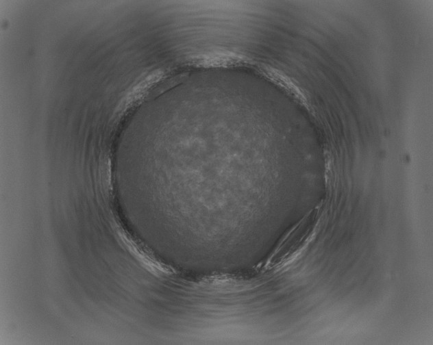 X0000070340589200606231534