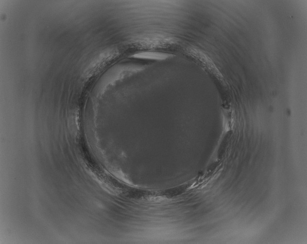 X0000070340590200606231534