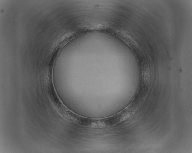 X0000070340591200606231534