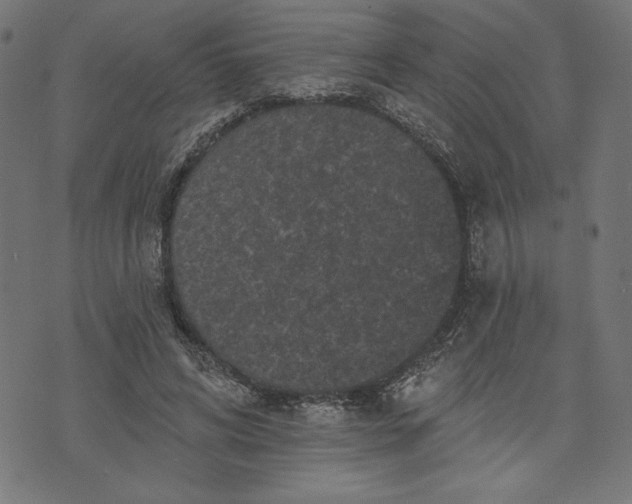 X0000070340592200606231534