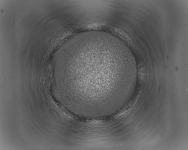 X0000070340593200606231534